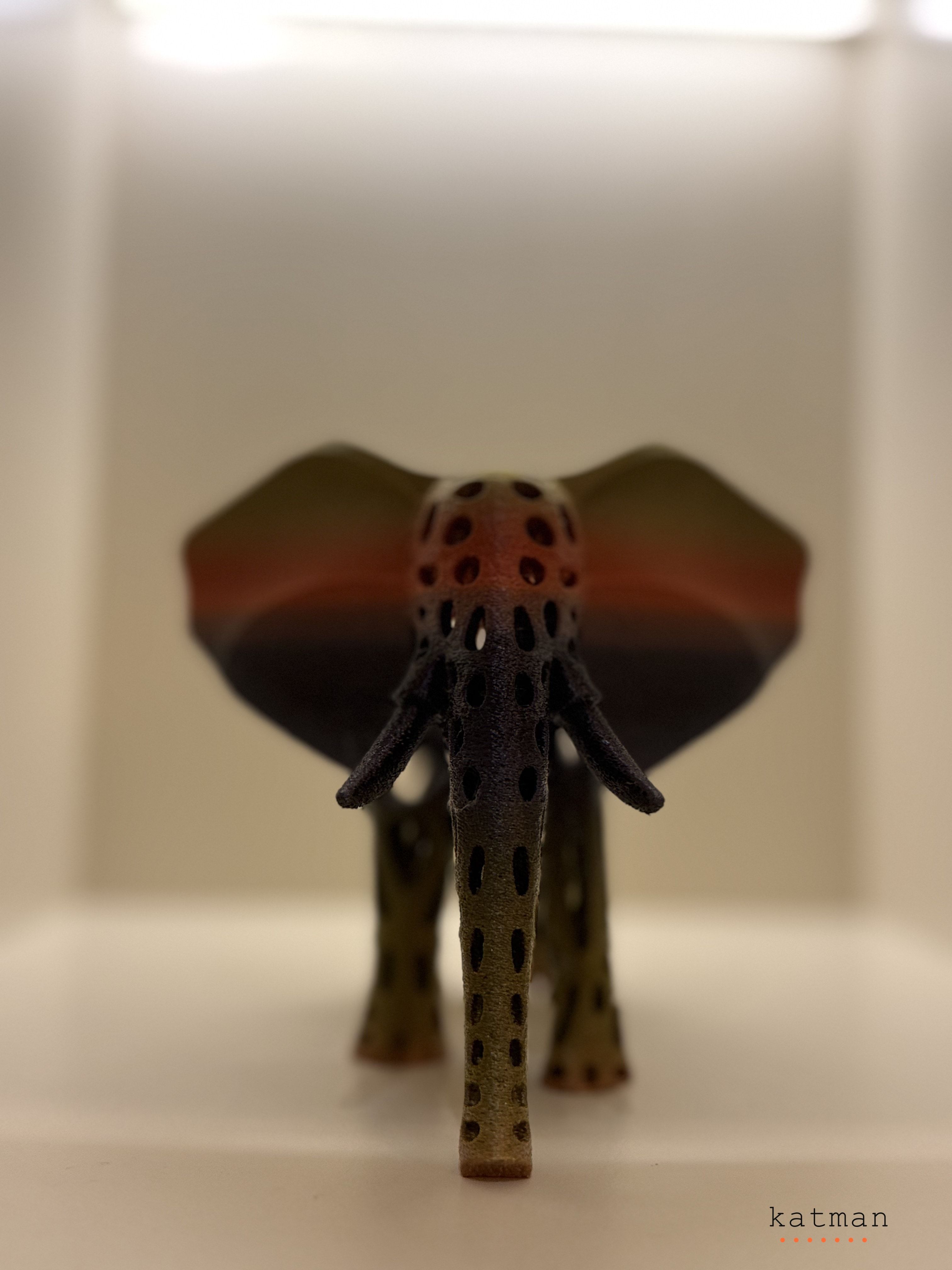 Fil Biblo - Detay Görünüm 2