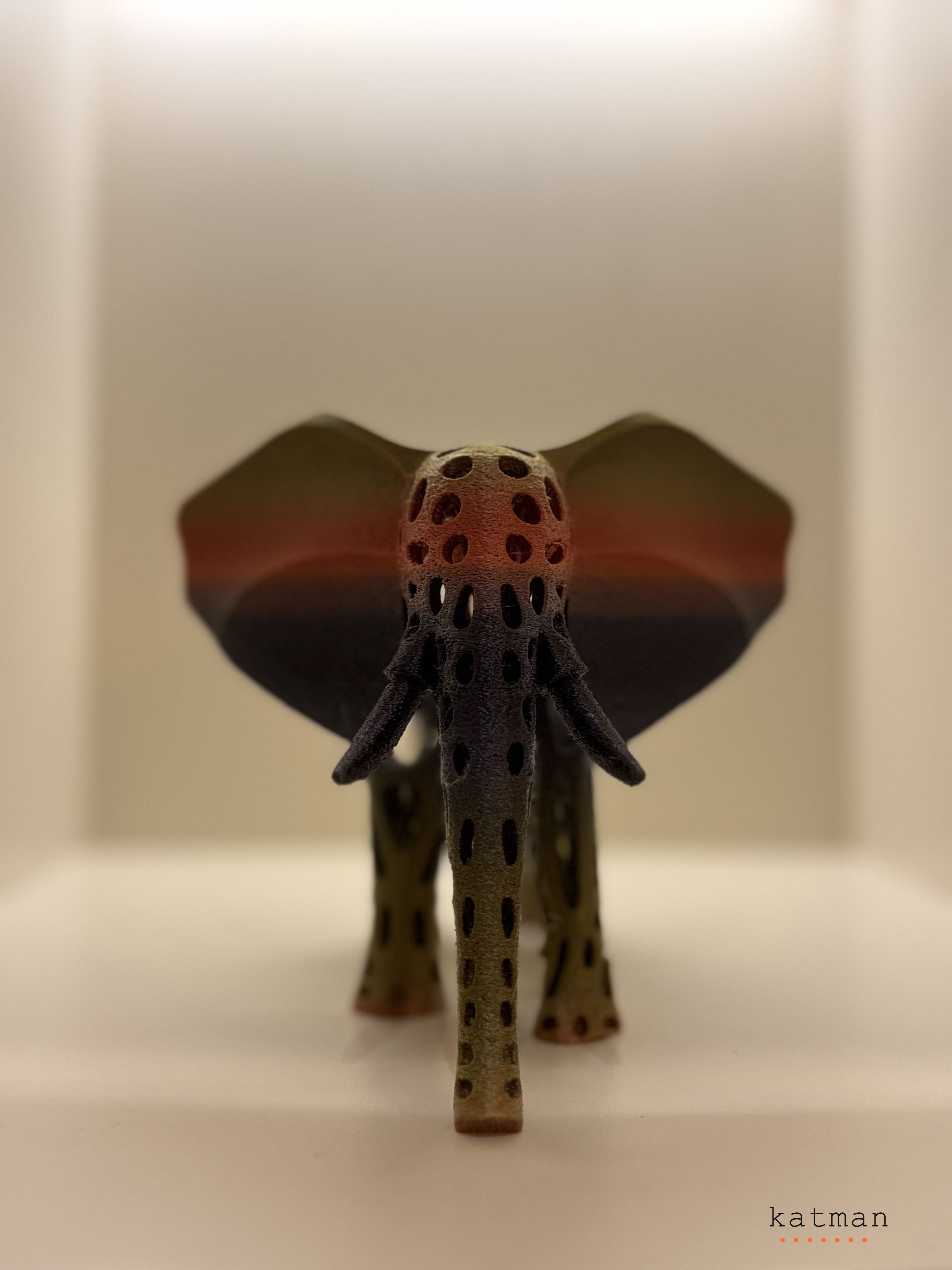 Fil Biblo - Detay Görünüm 3